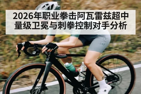 2026年职业拳击阿瓦雷兹超中量级卫冕与刺拳控制对手分析